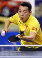 Xin Xu / Zhendong Fan